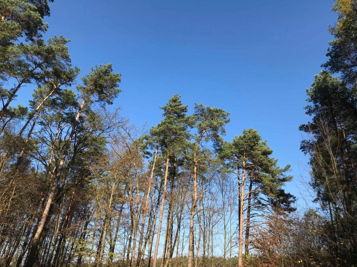 Domki Radawa Na Kliszowce Esterno foto