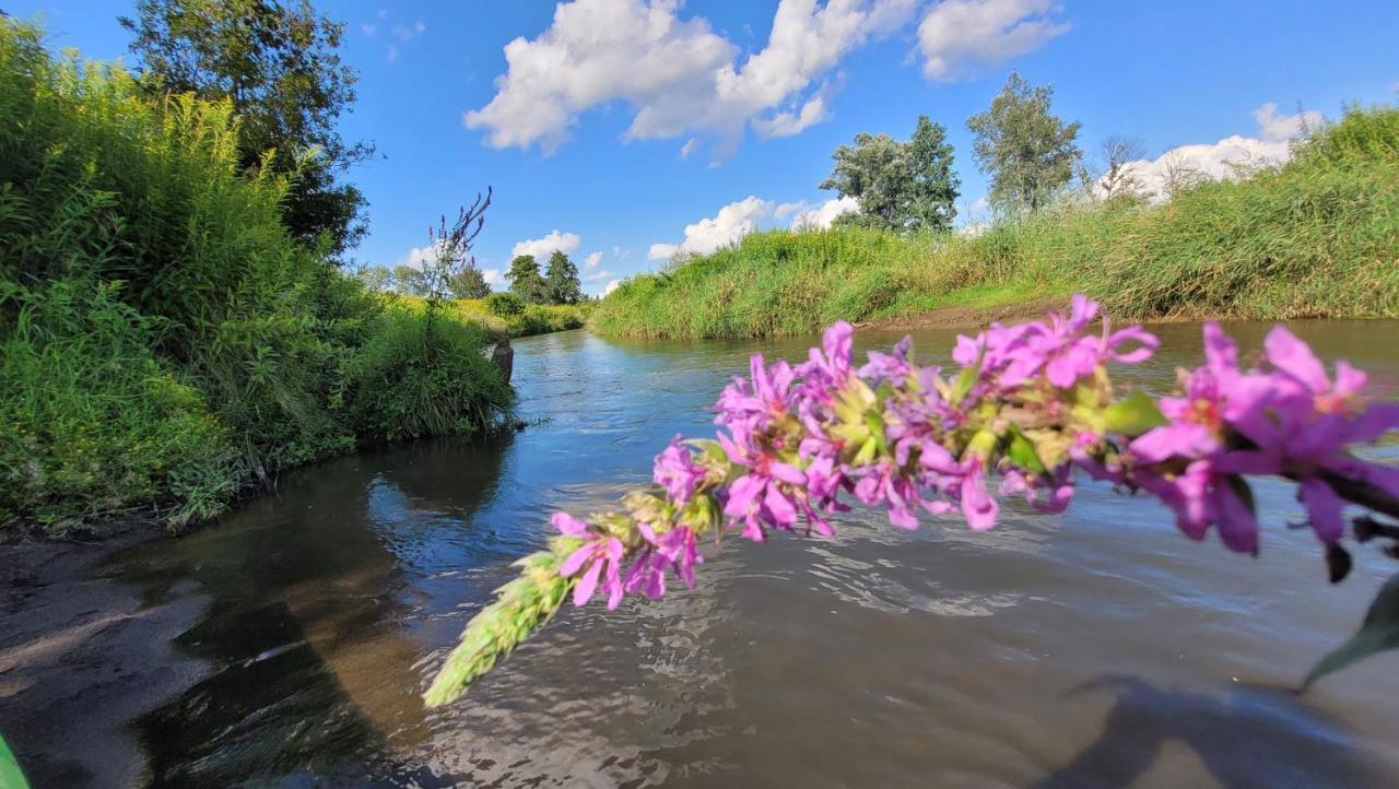 Domki Radawa Na Kliszowce Esterno foto