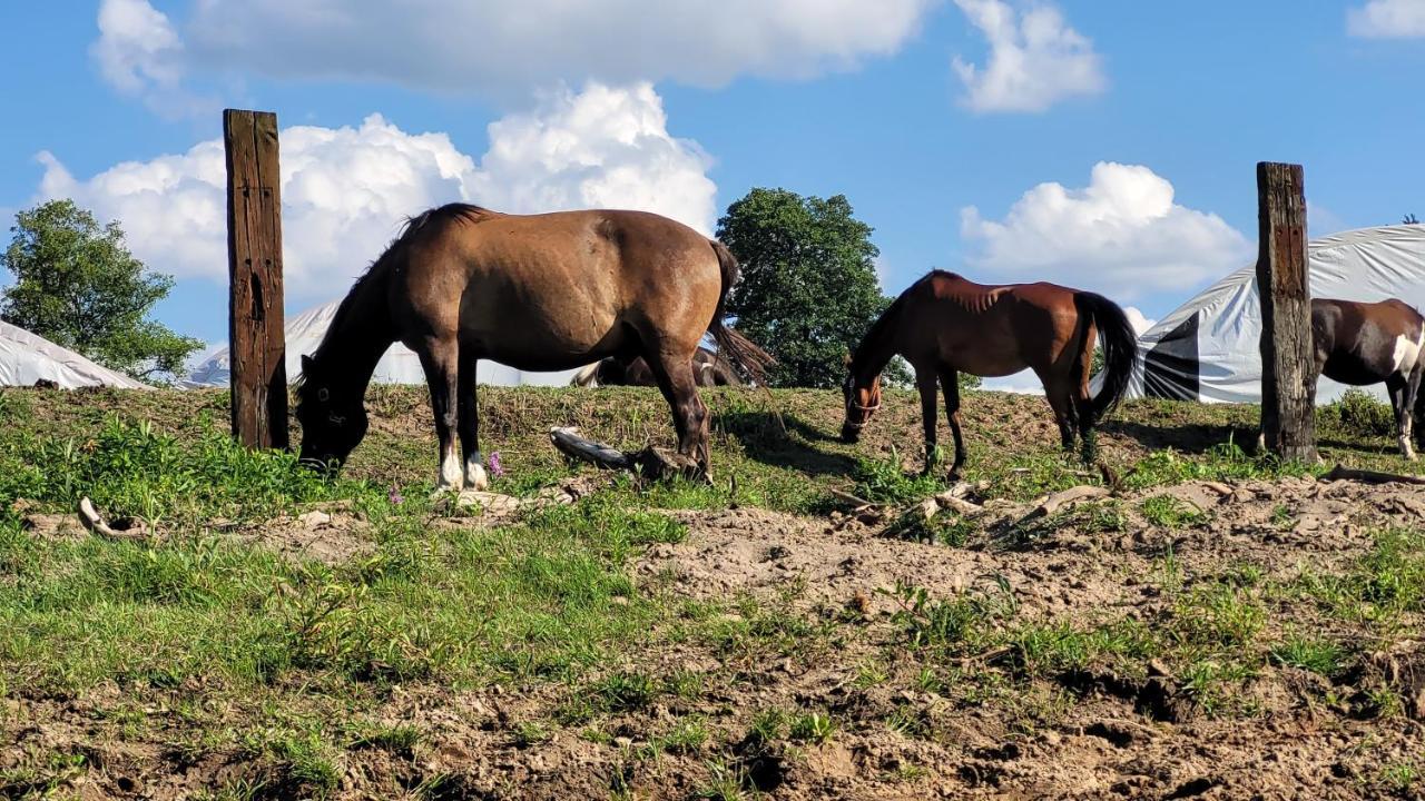 Domki Radawa Na Kliszowce Esterno foto